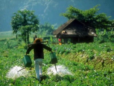RIEGO (2)  CAMPESINOS